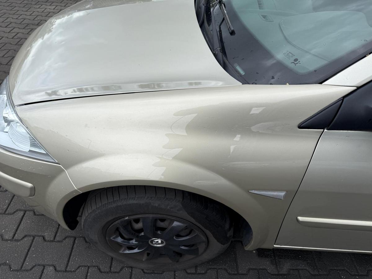 Renault Megane 2 original Kotflügel links Dakotabeige BJ08